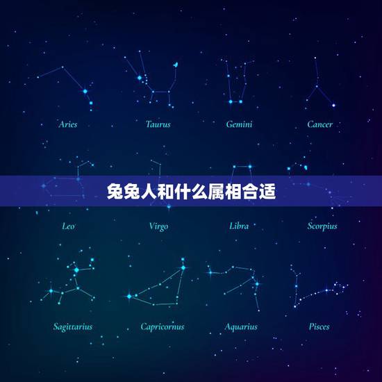 兔兔人和什么属相合适，兔子和什么生肖最配