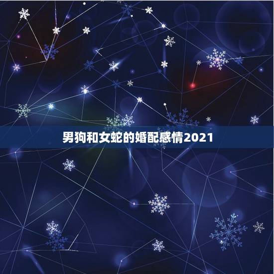 男狗和女蛇的婚配感情2021，2021猪的全年运势如何