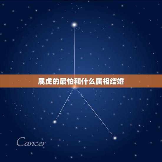 属虎的最怕和什么属相结婚，男属牛和女属虎的婚姻是怎样的？