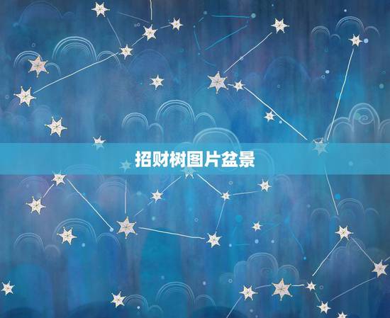 招财树图片盆景，怎么养招财树，