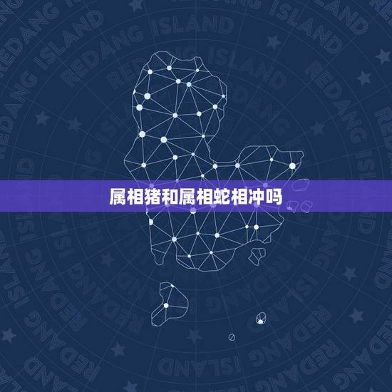 属相猪和属相蛇相冲吗，1965年属蛇的与1995年属猪的相克吗