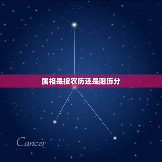 属相是按农历还是阳历分，属相是按农历算还是阳历算啊？