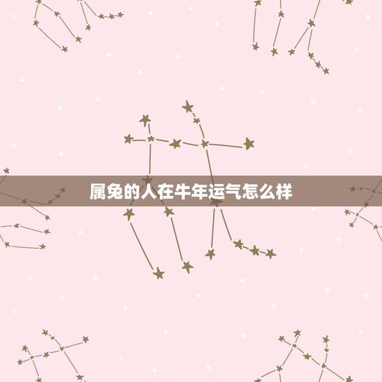 属兔的人在牛年运气怎么样，2017属牛和属兔的夫妻财运如何