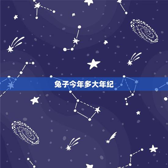 兔子今年多大年纪,拜登多大年纪今年 兔子今年多大年纪,拜登多大年纪今年