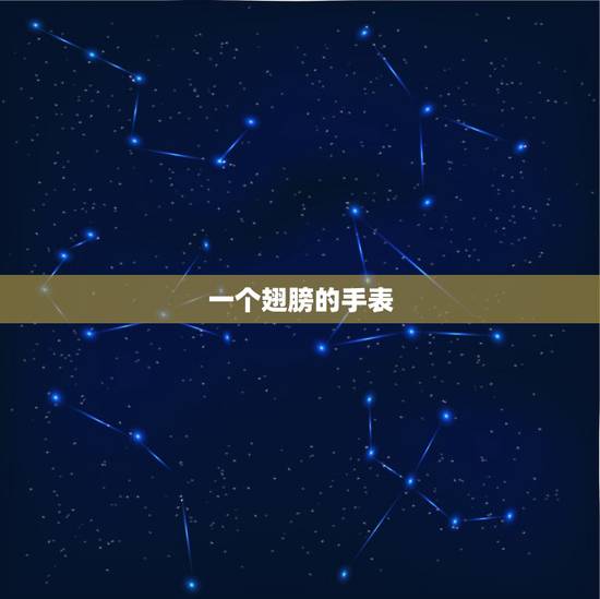 一个翅膀的手表,有一个手表牌子像翅膀 一个翅膀的手表,有一个手表牌子像翅膀