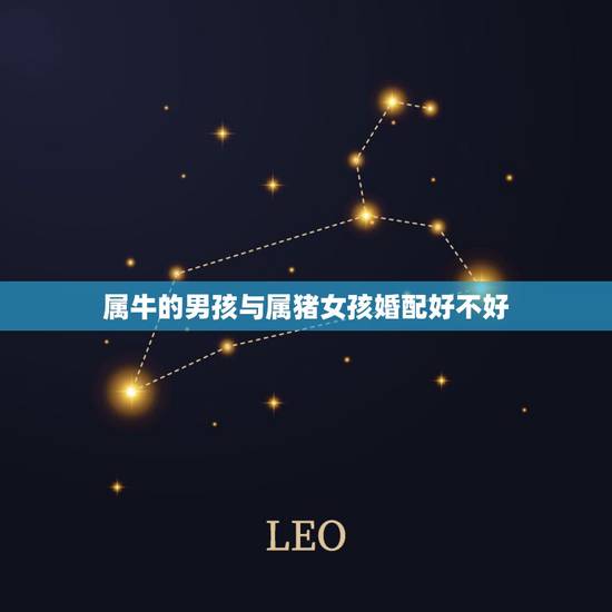 属牛的男孩与属猪女孩婚配好不好,属猪的男孩与属牛的女孩婚配好不好? 属牛的男孩与属猪女孩婚配好不好,属猪的男孩与属牛的女孩婚配好不好?