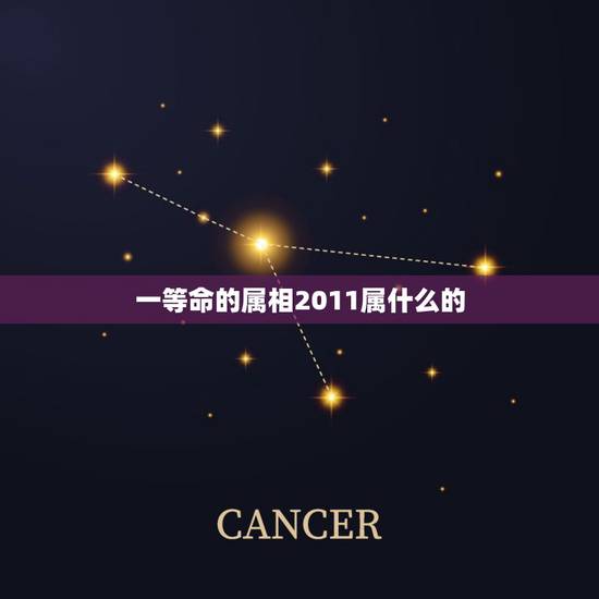 一等命的属相2011属什么的，2011年是什么年是什么命