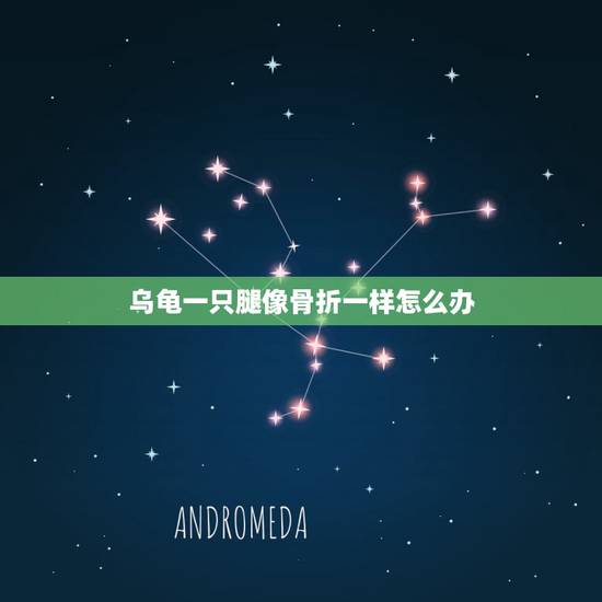 乌龟一只腿像骨折一样怎么办,乌龟腿瘸了怎么办? 乌龟一只腿像骨折一样怎么办,乌龟腿瘸了怎么办?