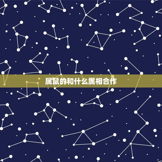 属鼠的和什么属相合作 属鼠的和什么属相合作