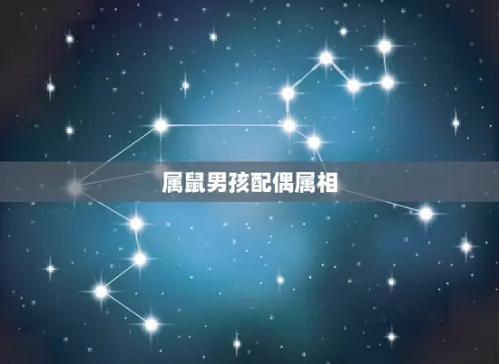 属鼠男孩配偶属相 属鼠男孩配偶属相