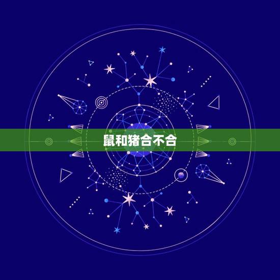 鼠和猪合不合，属猪与属鼠相配吗？