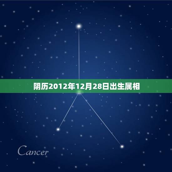 阴历2012年12月28日出生属相，我是农历12月28号出生的，应该属