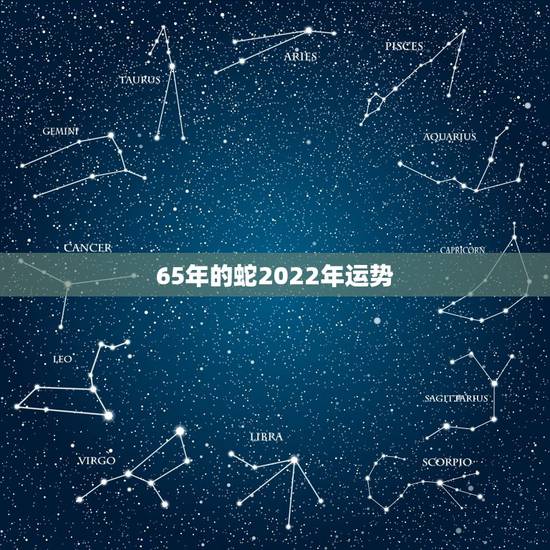 65年的蛇2022年运势,2022年属蛇人的全年运势 65年的蛇2022年运势,2022年属蛇人的全年运势
