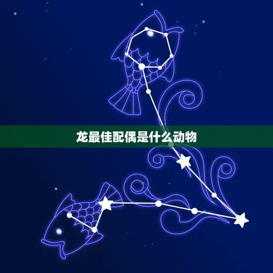 龙最佳配偶是什么动物 龙最佳配偶是什么动物