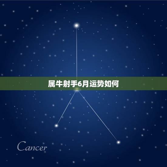 属牛射手6月运势如何，生肖属牛射手zuo2011年运势