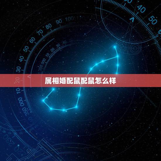 属相婚配鼠配鼠怎么样，属鼠的和什么属相最配 属鼠的属相婚配表