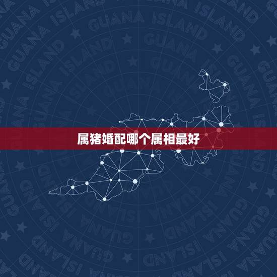 属猪婚配哪个属相最好,属猪女和什么属相最配 属猪婚配哪个属相最好,属猪女和什么属相最配