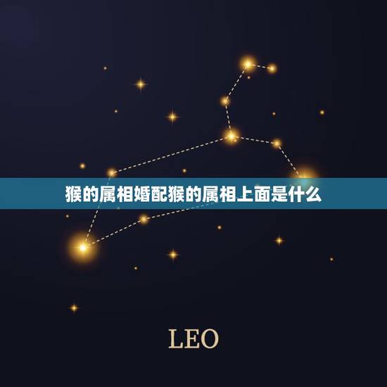 猴的属相婚配猴的属相上面是什么，属猴女的属相婚配表，属猴女和什么属相最