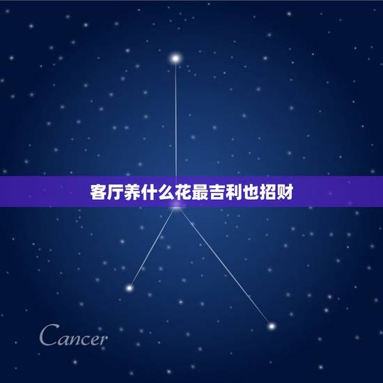 客厅养什么花最吉利也招财，客厅养什么花招财 客厅招财植物