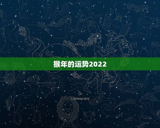 猴年的运势2022，属猴人在2021年的全年运势