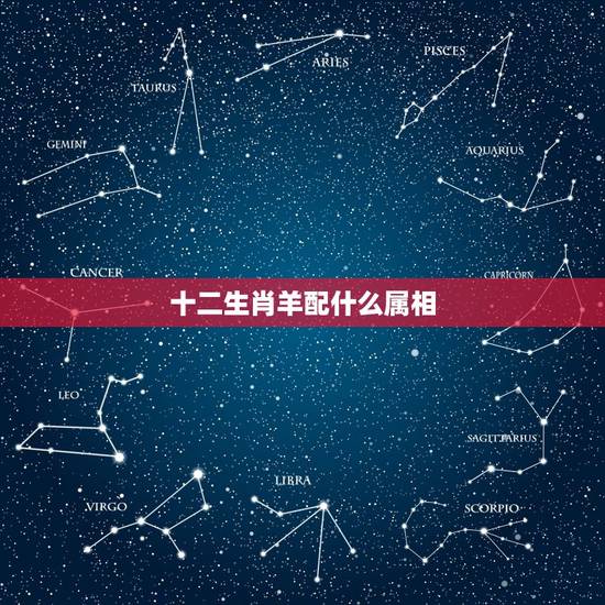 十二生肖羊配什么属相，属羊的和什么属相最配