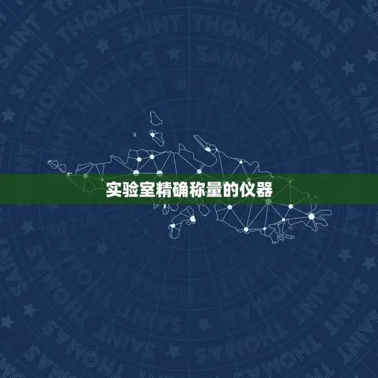 实验室精确称量的仪器 实验室精确称量的仪器