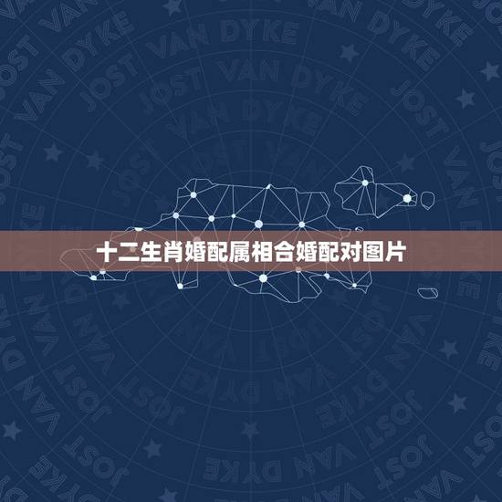 十二生肖婚配属相合婚配对图片，十二生肖配对