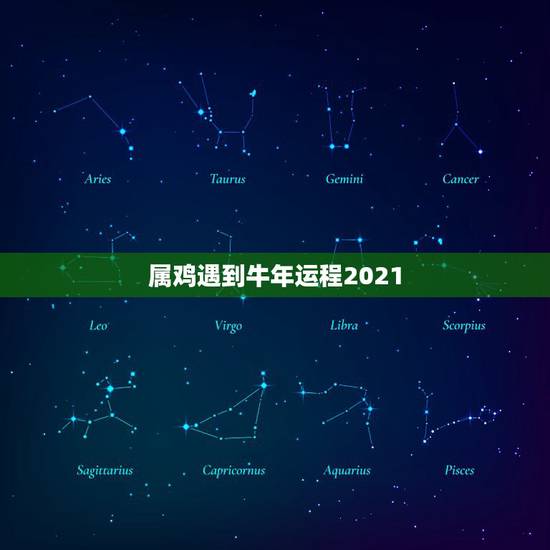 属鸡遇到牛年运程2021，2021属鸡人全年运势