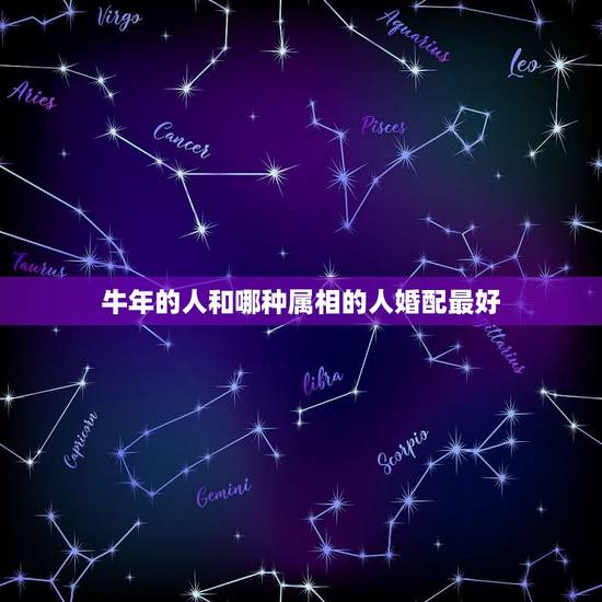 牛年的人和哪种属相的人婚配最好，属牛的女人和什么属相最配