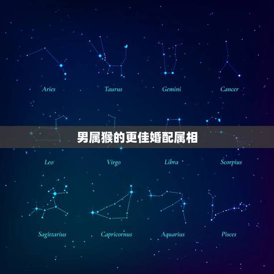 男属猴的更佳婚配属相，属猴的属相婚配表