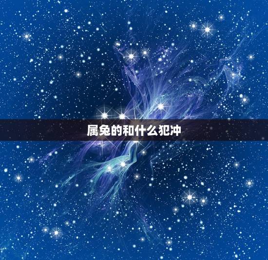 属兔的和什么犯冲，属兔和属兔的合不合