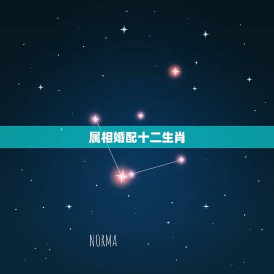 属相婚配十二生肖，属相婚配