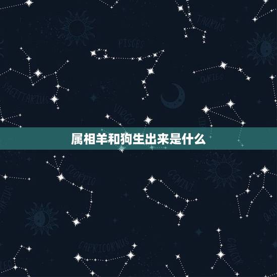 属相羊和狗生出来是什么，羊爸爸和狗妈妈生什么属相的宝宝好