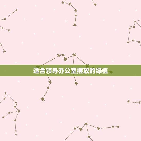 适合领导办公室摆放的绿植，领导办公室植物摆放风水有什么讲究