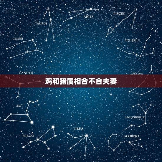 鸡和猪属相合不合夫妻，属鸡和属蛇属猪的三者组一家庭合不合