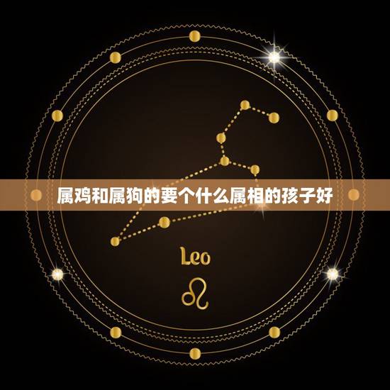 属鸡和属狗的要个什么属相的孩子好，属鸡和属狗的夫妇要什么属相的孩子好