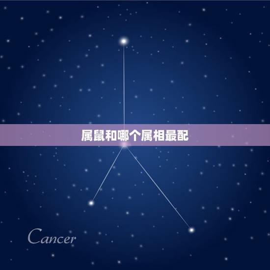 属鼠和哪个属相最配,属老鼠和什么属相最配 属鼠和哪个属相最配,属老鼠和什么属相最配