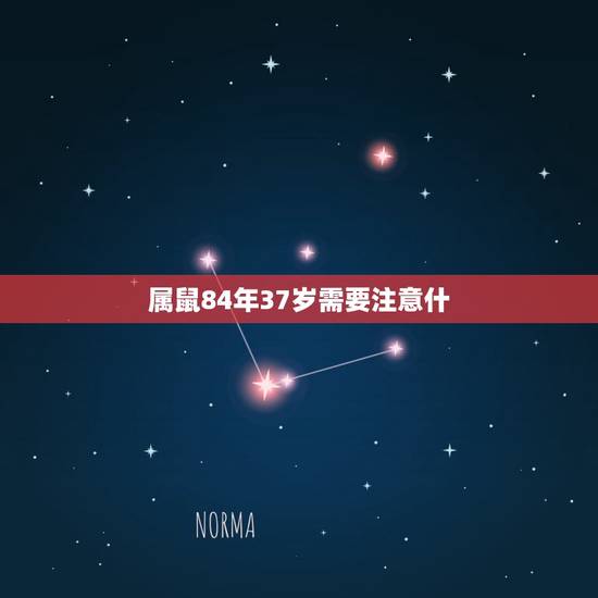 属鼠84年37岁需要注意什,我是84年出生的属鼠,说今年犯太岁、我应该 属鼠84年37岁需要注意什,我是84年出生的属鼠,说今年犯太岁、我应该