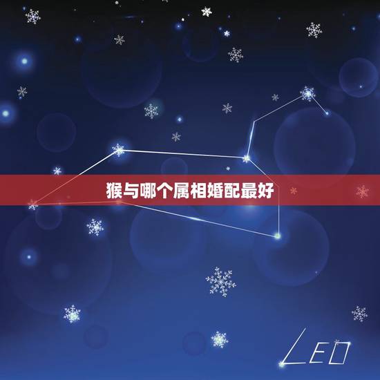 猴与哪个属相婚配最好，属猴的和什么属相最配，属猴的属相婚配表