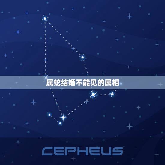 属蛇结婚不能见的属相,属蛇和属虎2023年10月份结婚拜堂忌什么属相? 属蛇结婚不能见的属相,属蛇和属虎2023年10月份结婚拜堂忌什么属相?