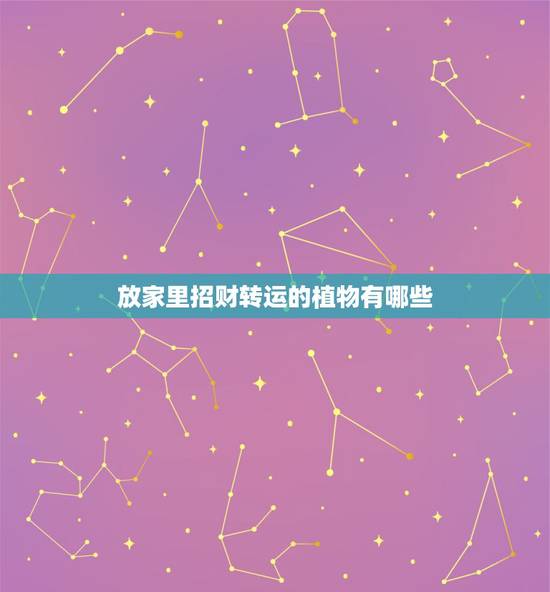 放家里招财转运的植物有哪些，家里招财去霉运的什么植物好