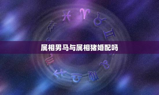 属相男马与属相猪婚配吗，男马和女猪属相相配吗？