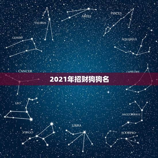 2021年招财狗狗名，招财不俗气的狗狗名字？