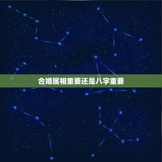 合婚属相重要还是八字重要,合婚要用八字还是用属相 合婚属相重要还是八字重要,合婚要用八字还是用属相