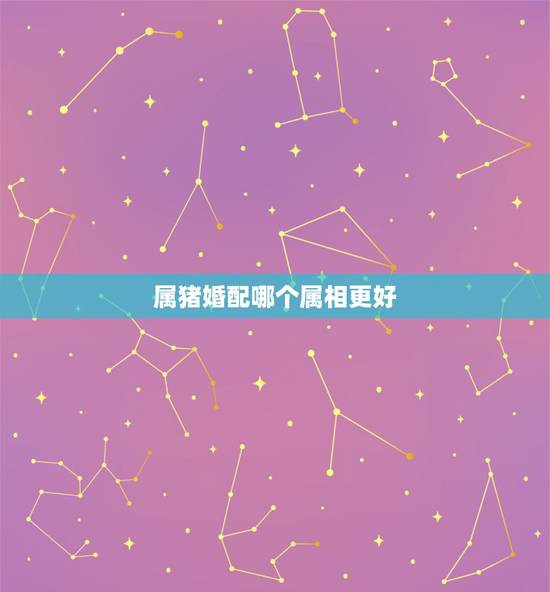 属猪婚配哪个属相更好，属猪男更佳婚配对象