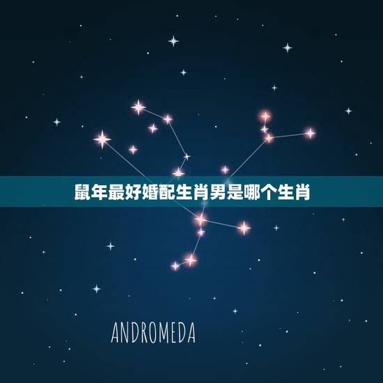 鼠年最好婚配生肖男是哪个生肖,属鼠的和什么属相最配 属鼠的属相婚配表 鼠年最好婚配生肖男是哪个生肖,属鼠的和什么属相最配 属鼠的属相婚配表