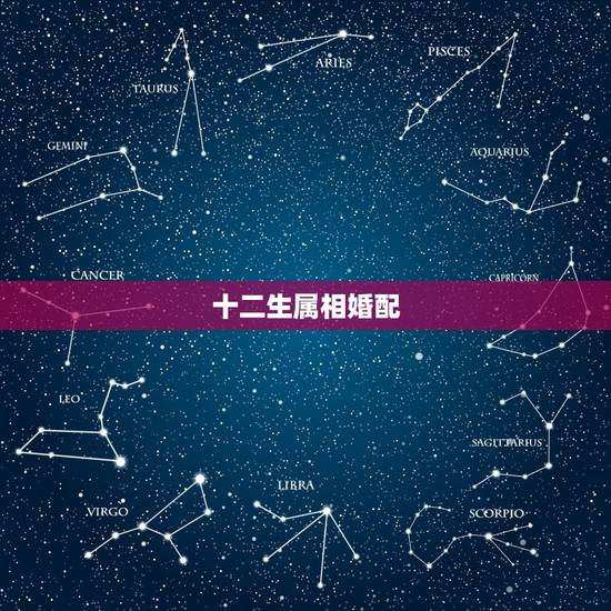 十二生属相婚配,十二生肖婚配:属相合婚配对表 十二生属相婚配,十二生肖婚配:属相合婚配对表