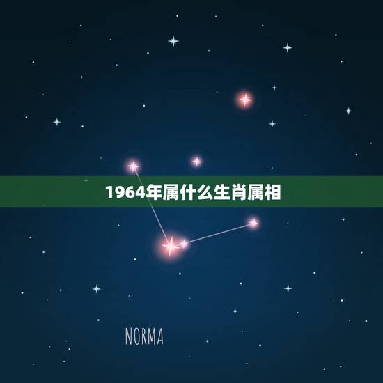 1964年属什么生肖属相，1964年属什么生肖？