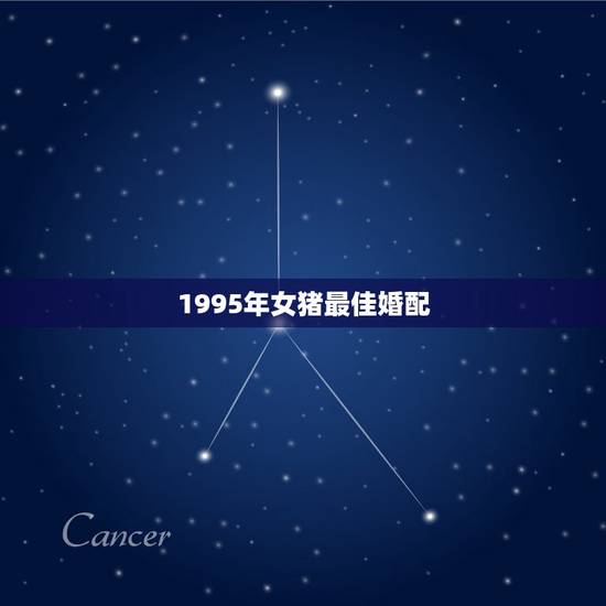 1995年女猪最佳婚配,95年属猪最佳婚配属相 1995年女猪最佳婚配,95年属猪最佳婚配属相