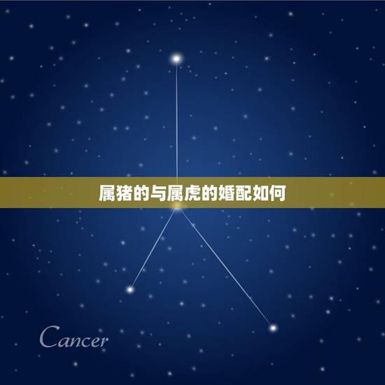 属猪的与属虎的婚配如何，男属虎，女属猪，男86年，女95年，相配吗？以